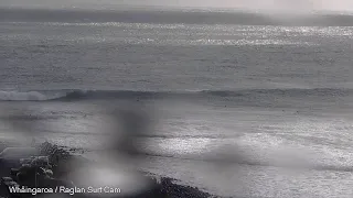 GOOD SURF NOW! Raglan Live Stream