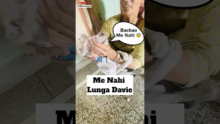 Me Nahi Lunga Davie 😲 | #475