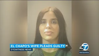 El Chapo's wife pleads guilty, admits to helping run his criminal empire | ABC7