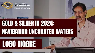 Gold and Silver: Navigating Uncharted Waters | Lobo Tiggre