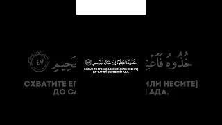 Сура: Ад-Духан 44:47-50. Чтец: Sa’ad Al-Tom «Схватите его и волоките до самой середины Ада.»