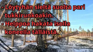 Ensinmäinen koeajo video Bearilla. Aika pientä metsää suolla ja hyvin kantaa suo. Ponsse Bear C6 H8