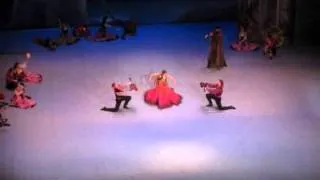 Gipsy dance in Don Quixote (Anastasia Meskova) - Palais Garnier, 14th May evening, 2011