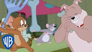 टॉम एंड जेरी हिंदी में 🇮🇳 | हड्डी चोर 🦴 | WB Kids