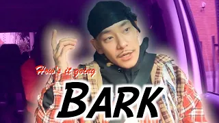 【How's it going!?】Vol.10 BAD HOP Bark!!!!!!!