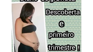 Diário de gravidez- Descoberta e primeiro trimestre | Tamy Bernardo