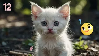 😺Stray Kittens😺#ai #aicat #viral #cutecat #aikitten