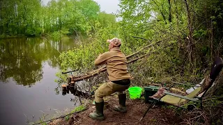 СУЛА КИПИТЬ від РИБИ🐟🐟🐟 Такого ХОДУ ЛЯЩА ще не було! Рибалка з НОЧЁВКОЙ!