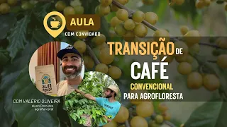 Transição de café para agrofloresta em pequenas propriedades #46