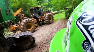 taking down Big White oaks around neighbors house