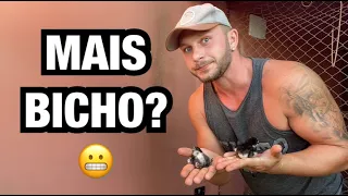 OLHA O QUE EU DESCOBRI AQUI EM CASA | Henrique Buttler