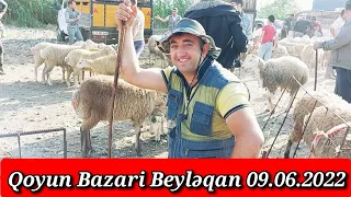 QOYUN BAZARİ BEYLƏQAN 09.06.2022 YENİ VİDEO ÇƏKİLİ #qulubeyleqanlı #qoyun#mazari#beyleqan