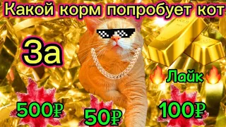 😱КОРМ ЗА 500 100 и 50😱рублей ЧТО ПОПРОБУЕТ КОТ? #cats