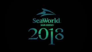 Summer 2018: Electric Eel | SeaWorld San Diego