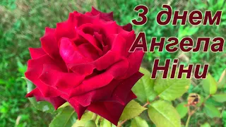 Привітання з днем Ангела Ніни, Ніночки, Нінусі! Ніно, вітаю з днем Ангела! Привітання для Ніни