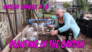 GREEN HOUSE P-8 (PLANTING IN THE GARDEN)