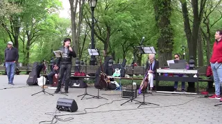 The Long & Winding Road (Live in Central Park)