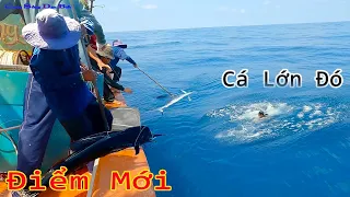 CÂU TAY 22║Điểm Câu Mới,Cá THU,Cá CỜ Khủng.AE Kéo Tay Đuối Luôn.