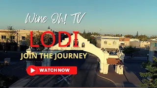 Learn About Lodi Wine Country