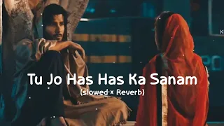 tu Jo has has ke sanam Lofi songs old hindi songs