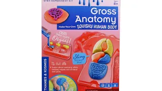 Gross Anatomy Make Your Own Squishy Body Kit Unboxing Review