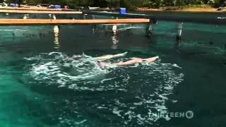 Dolphin language, Two dolphins communicate with eachother