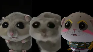 sad hamster AI version ( Anime vs realistic )