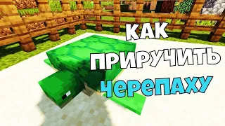 КАК ПРИРУЧИТЬ ЧЕРЕПАХУ В МАЙНКРАФТЕ!!!