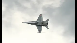 Meeting de la Ferté Alais 2024  Le F-18 Hornet