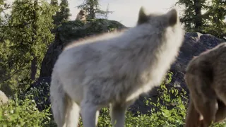 The call of the wild - Buck saves the Wolf's life HD (2020)