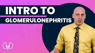 Intro to Glomerulonephritis | Preclinical | Renal | @OnlineMedEdCom