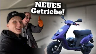 TPH fährt jetzt 160Km/H! Malossi Getriebe für die 180cc Maxi Piaggion TPH | @LuisBrygala