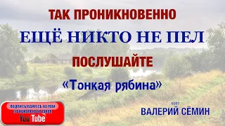 ТАК ПРОНИКНОВЕННО ЕЩЁ НИКТО НЕ ПЕЛ! ПОСЛУШАЙТЕ! "Тонкая рябина". Поёт Валерий Сёмин.