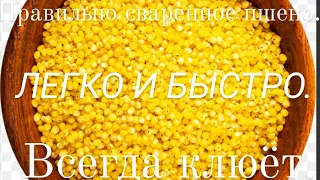 Как приготовить правильно сыпучее пшено для рыбалки. Просто, легко и быстро.