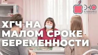 Как должен расти уровень ХГЧ на малом сроке беременности?