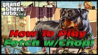 GTA 5 How To Walk & Play Fetch With Chop For 100% Completion! GTA V 100% Checklist!