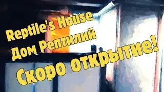 Дом Рептилий-Reptile's House