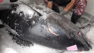 Taiwanese Food - Giant bluefin tuna fish cutting Sashimi / bluefin tuna cutting skill