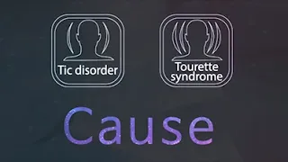 Tic disorder, Tourette syndrome Cause