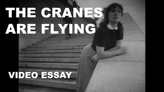 Stylistic Patterns: The Cranes are Flying / Летят журавли (Mikhail Kalatozov) | Video Essay