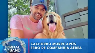 Cachorro morre após falha no transporte aéreo da Gol em aeroporto de SP | Jornal da Band