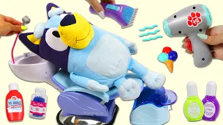 Disney Jr Bluey Spa Day Nail Salon Makeover & Sunny Days Water Wonder Story Coloring Book!