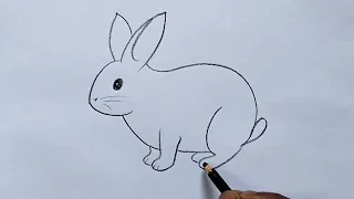 how to draw rabbit drawing easy step by step@DrawingTalent