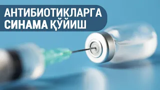 Антибиотикларга синама қўйиш