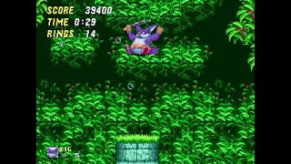 Sonic The Hedgehog 2 Pink Edition Aquatic Ruin Zone 2 (Big the Cat)(Search for Froggy)