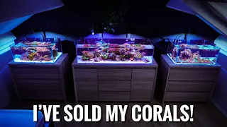 An Update on ALL my Reef Aquariums