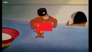 СССР и Фашистская Германия/Tom and Jerry, the great Patriotic war