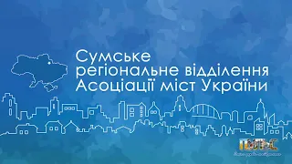 Практикум Сумського РВ АМУ щодо особливостей місцевих виборів-2020, 25 серпня 2020 року