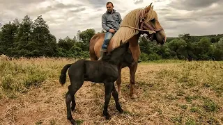 ❗ХАЛЯВНА ЦІНА,🤑ЛОШИЧКА ЗА 600$💵