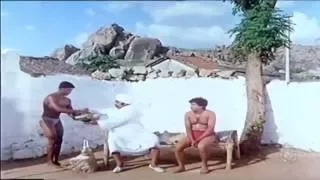Ramachari Kusthi super scene | Nagarahavu Movie | Dr.Vishnuvardhan,Aarathi | Kannada best scenes
